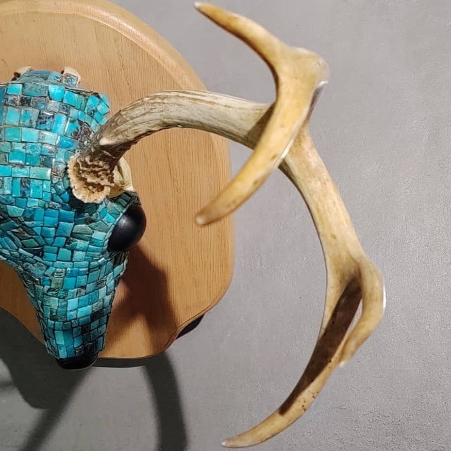 Inlaid Turquoise Skull