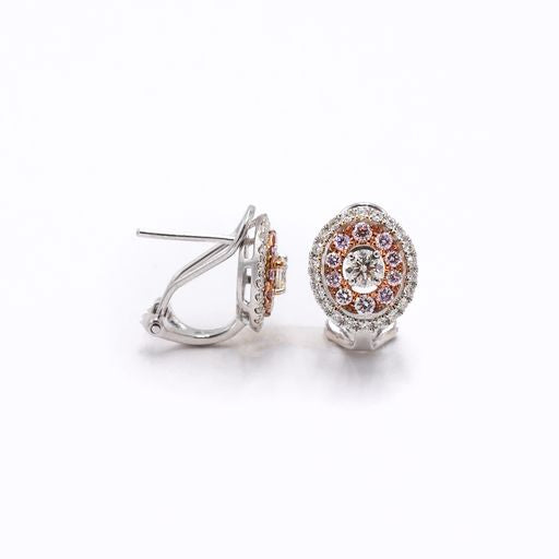 Two-Tone 4/5 ctw Diamond Halo Earrings