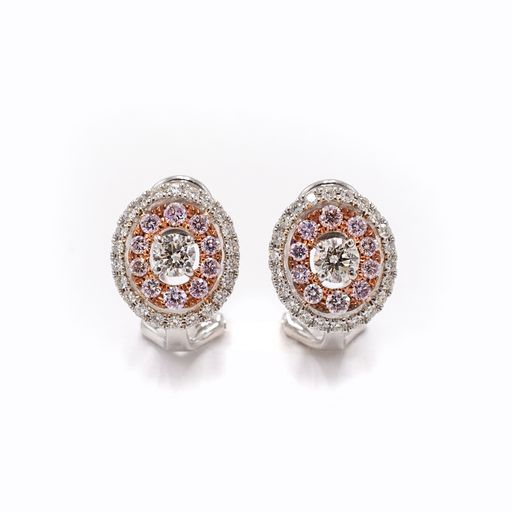 Two-Tone 4/5 ctw Diamond Halo Earrings